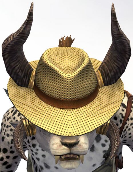 File:Beach Hat charr.jpg