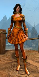 Appearance on light armor.