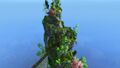 Cat Island.