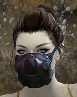 Consortium Breathing Mask.jpg