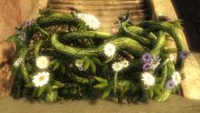 Deluxe Vine Wall.jpg