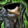 Experimental Envoy Tassets.png