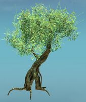 Green Tree.jpg