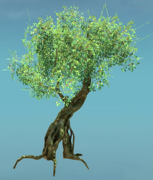 File:Green Tree.jpg