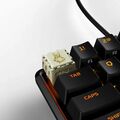 HyperX Springer.jpg