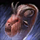 Mounted Dolyak Head.png