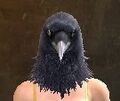 Raven-Blessed Visage.jpg