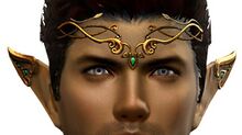 Royal Pointed Ears Helm Skin.jpg