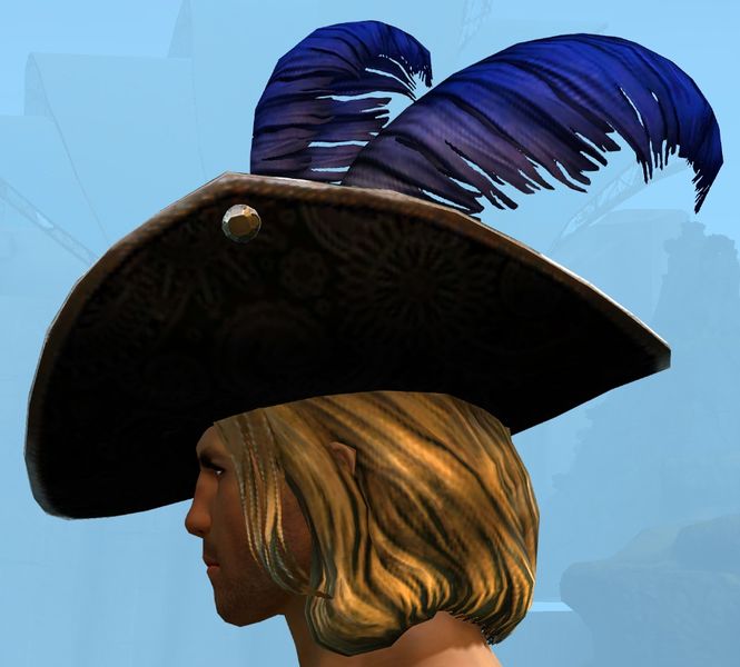File:Swaggering Hat male human side.jpg