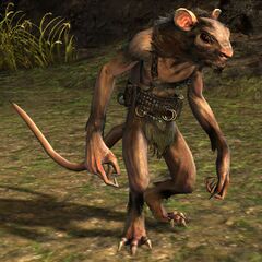 Trader Iltum'arg.jpg