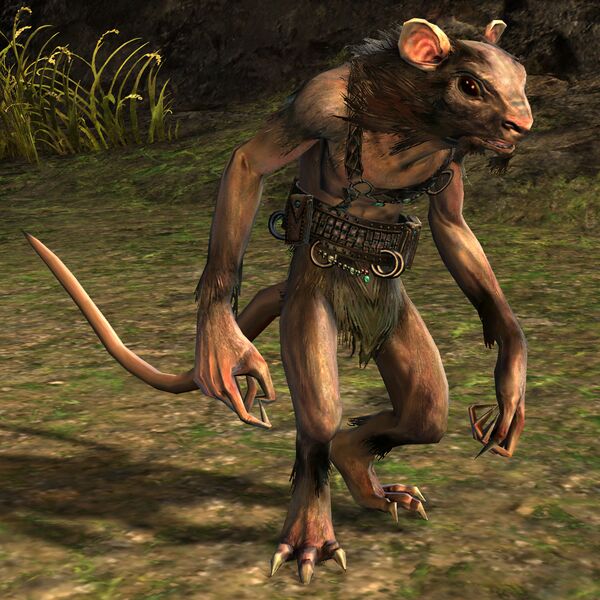 File:Trader Iltum'arg.jpg
