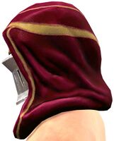 Traveling Knight's Hooded Helm side.jpg