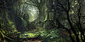 Thumbnail for version as of 06:17, 27 July 2012