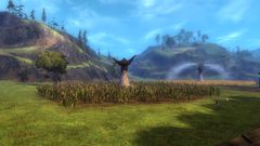 Beetletun Farms.jpg