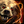 Biography Pet Bear (norn).png