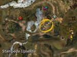 Carrot Collector 3 map.jpg