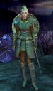 Ebon Vanguard Warrior F1 (shield).jpg