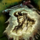 Mark of the Tamini.png