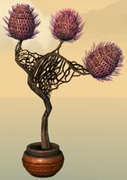 Potted Sprouting Night Thistle side.jpg