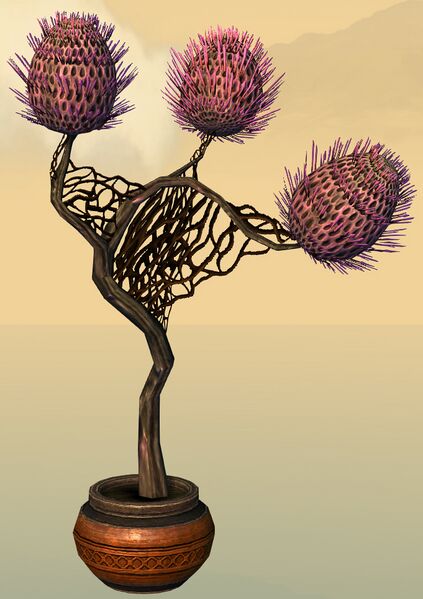 File:Potted Sprouting Night Thistle side.jpg