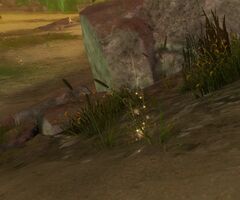 Refreshing Water.jpg