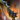 Sclerite Longbow.png