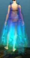 Shimmering Aurora Cape.jpg