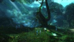 Valley of Gwaun.jpg