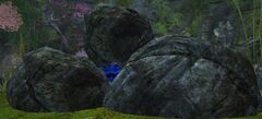 Fallen Boulders.jpg