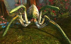 Forest Spider (alt).jpg