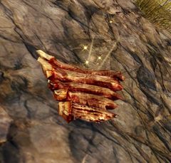 Hunk of Flesh.jpg