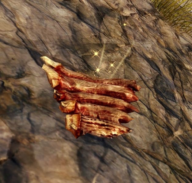 File:Hunk of Flesh.jpg