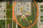 Illuminating Amnytas - 41 Creature Corral map.png