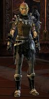 Laranthir of the Wild 2.jpg