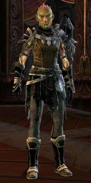 File:Laranthir of the Wild 2.jpg