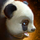 Panda Roller Beetle Skin.png