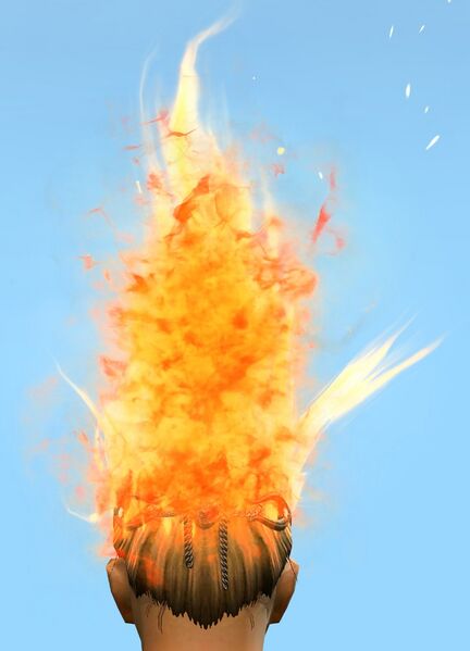 File:Pyre Circlet Helm back.jpg