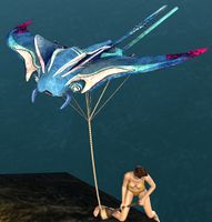 Skimmer Kite.jpg