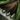 Stalker Visage.png