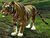 Tiger.jpg