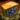 Veteran Ogre Loot Box