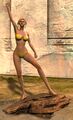 Thumbnail for version as of 20:08, 12 April 2021
