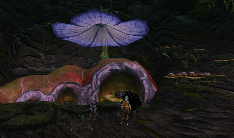 File:Cooking Station sylvari.jpg