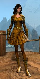 Appearance on light armor.