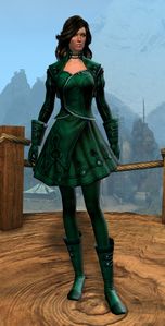 Appearance on light armor.