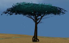 Healing Tree.jpg