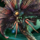 Mini Mordrem Thrasher.png