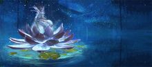 Mystic Lotus Chair banner.jpg