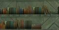 Shelved Book (Kestrel Archives).jpg