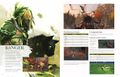 Strategy Guide Ranger spread.jpg